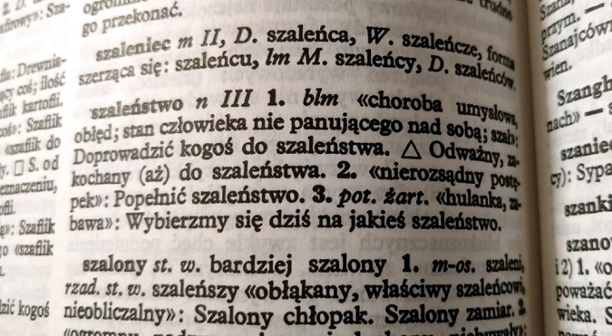 Słownik - szaleństwo