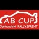 AB Cup & BMW Challenge 2013