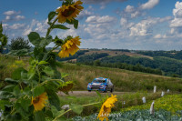 _DOL4971