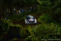 wrc (71)