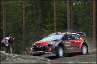 wrc (162)