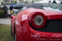 IMGP7581