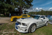 Roush Mustang