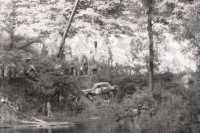 101. C.d akcji.   (To zdjęcie w pełnej rozdzielczości możesz kupić na www.kwa-kwa.pl )