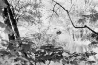 82. Tak zakończył rajd jeden z zawodników Pucharu Polski   (To zdjęcie w pełnej rozdzielczości możesz kupić na www.kwa-kwa.pl )