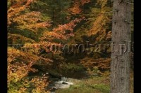 17 Rajd Dolnoslaski Puchar PZM 112