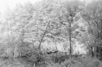 95. Coraz wyżej.   (To zdjęcie w pełnej rozdzielczości możesz kupić na www.kwa-kwa.pl )