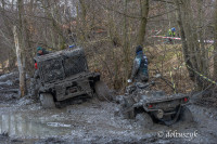 _DOL3939