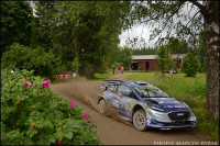 wrc (47)