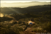 wrc (148)