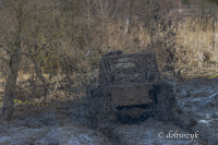 _DOL3851
