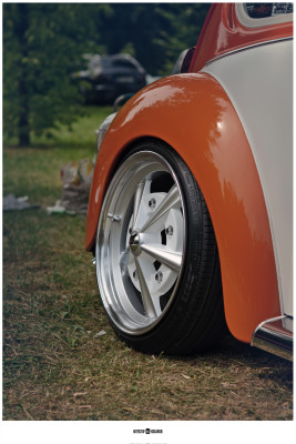 vag (227)