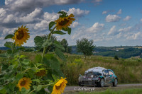 _DOL4993