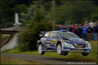wrc (11)