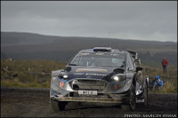 wrc (9)