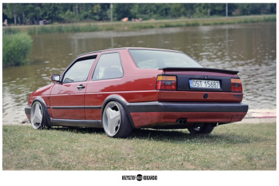 vag (271)