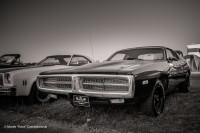 DSC_3732-2