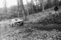 98. Sandor Bogos i Karoly Danko - Polonez 2000.   (To zdjęcie w pełnej rozdzielczości możesz kupić na www.kwa-kwa.pl )