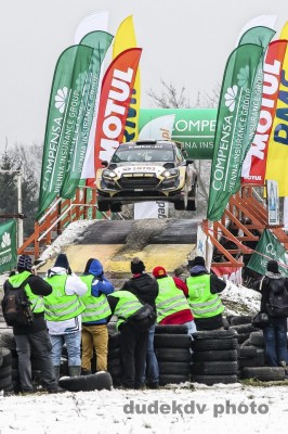 Kajto_Fiesta_WRC (2)