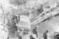 83. Maluch próbował pływać.   (To zdjęcie w pełnej rozdzielczości możesz kupić na www.kwa-kwa.pl )