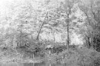 94. C.d akcji.   (To zdjęcie w pełnej rozdzielczości możesz kupić na www.kwa-kwa.pl )