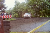 42   (To zdjęcie w pełnej rozdzielczości możesz kupić na www.kwa-kwa.pl )