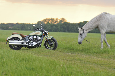 1kopiarwindianscout (9)