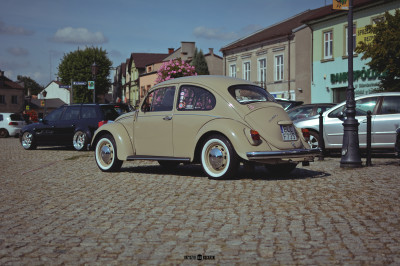 wanteds 081-2
