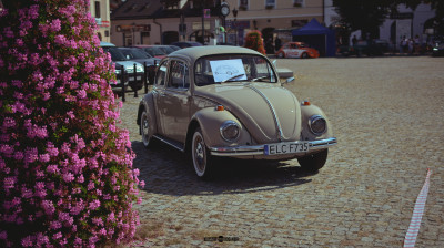 wanteds 085-2