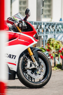 ducati959rw (16)