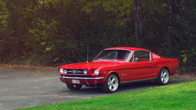 Mustang 