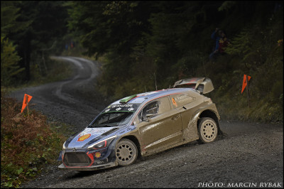 wrc (2)