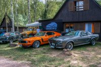 Ford Mustang Boss 302 i Shelby Mustang GT500E
