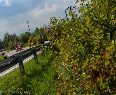 10. WYŚCIG GÓRSKI PRZĄDKI 2013 018