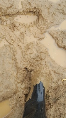20170902_123731