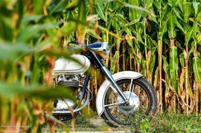 Junak M10 (16)