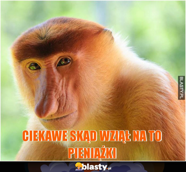 ciekawe-skad-wzial-na-to-pieniazki_2017-11-30_00-43-39.jpg